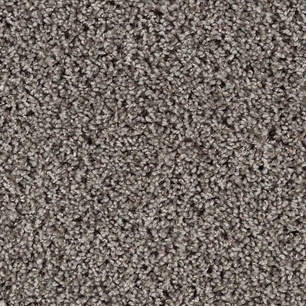 8 in. x 8 in. Texture Carpet Sample - Kind Heart -Color Fedora Grey price history on PriceWatchPro