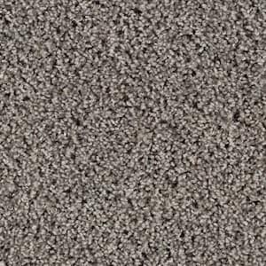 8 in. x 8 in. Texture Carpet Sample - Kind Heart -Color Fedora Grey