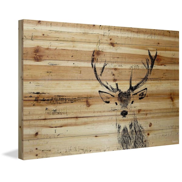 30 in. H x 45 in. W Inquisitive Deer by Parvez Taj Printed Natural Pine Wood Wall Art, Multi-Colored