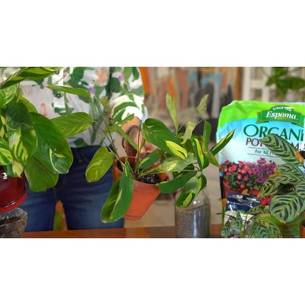 Organic Potting Mix Espoma 8 qt