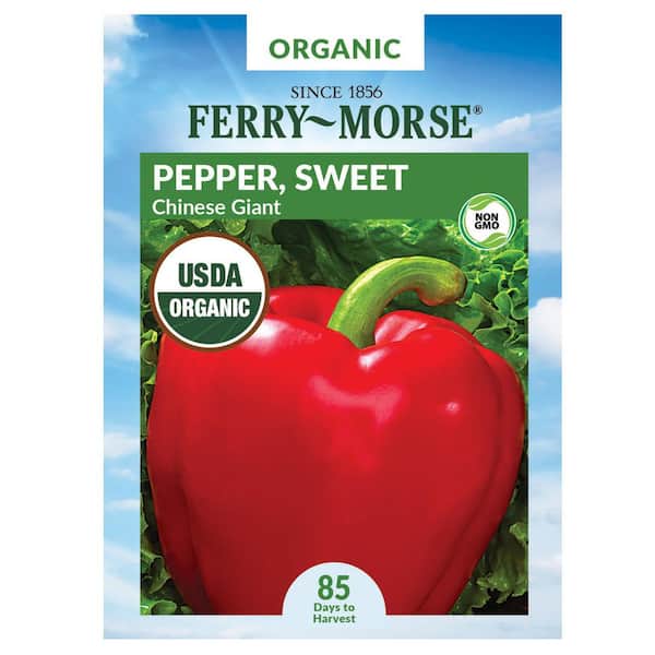 Organic Pepper Chinese Giant Fruit Seed
