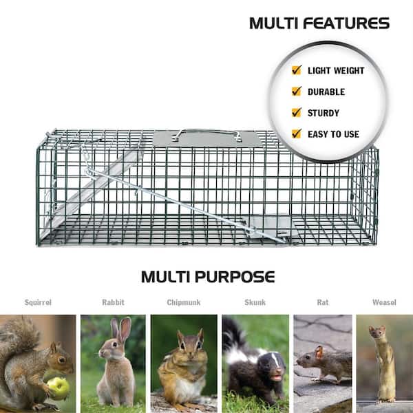 Homestead Small 1-Door Professional Humane Steel Live Animal Cage Trap for Squirrels, Rabbits, Chipmunks, Skunks, Rats and Weasels