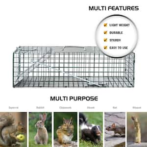 Small 1-Door Professional Humane Steel Live Animal Cage Trap for Squirrels, Rabbits, Chipmunks, Skunks, Rats and Weasels