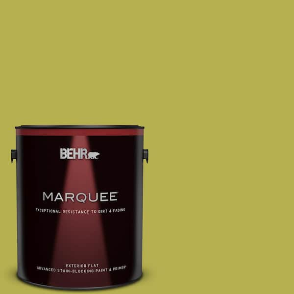 Maintenance One® Interior/Exterior Latex Paint, Flat Finish, 5 Gallon, RAA  Hardware