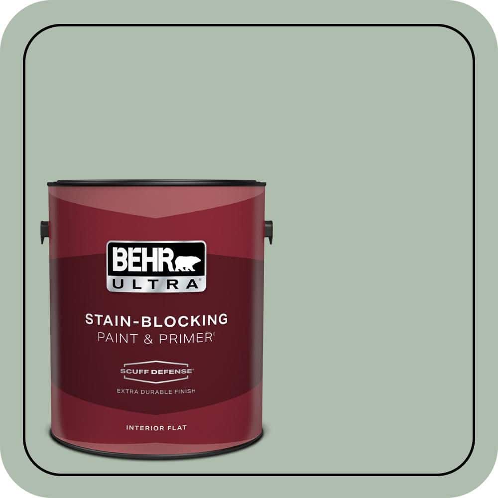 1 gal. #450E-3 Southern Breeze Extra Durable Flat Interior Paint & Primer price history on PriceWatchPro