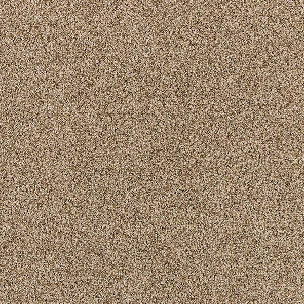 TrafficMaster Household Hues I Soft Clay Brown 31 oz. Polyester Textured Installed Carpet