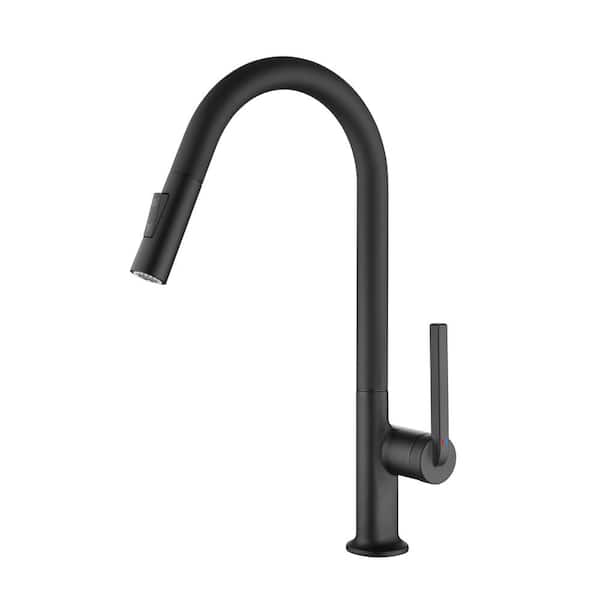 Tomfaucet Single Handle Pull Out Sprayer Kitchen Faucet with Advanced 2-Setting Spray in Matte Black
