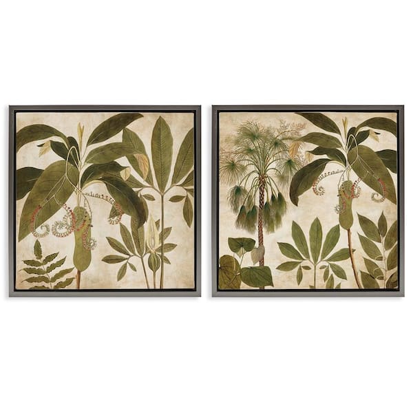 Stupell Industries Vintage Botanical Tropics by Chris Donovan 2-Pieces Gray Floater Frame Nature Graphic Art Print 25 in. x 25 in.