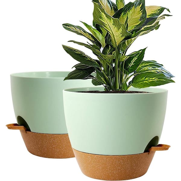 Modern 10 in. L x 10 in. W x 7.3 in. H Green with Terracotta Plastic Round Indoor Planter (2-Pack)