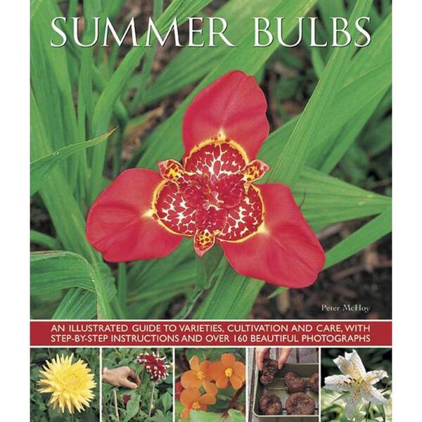 Unbranded Summer Bulbs