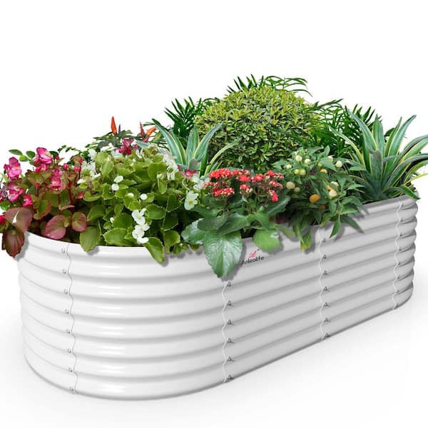 Zeus & Ruta 6x3x2ft Metal Oval Galvanized Raised Garden Bed for Vegetables and Flowers Outdoor in White