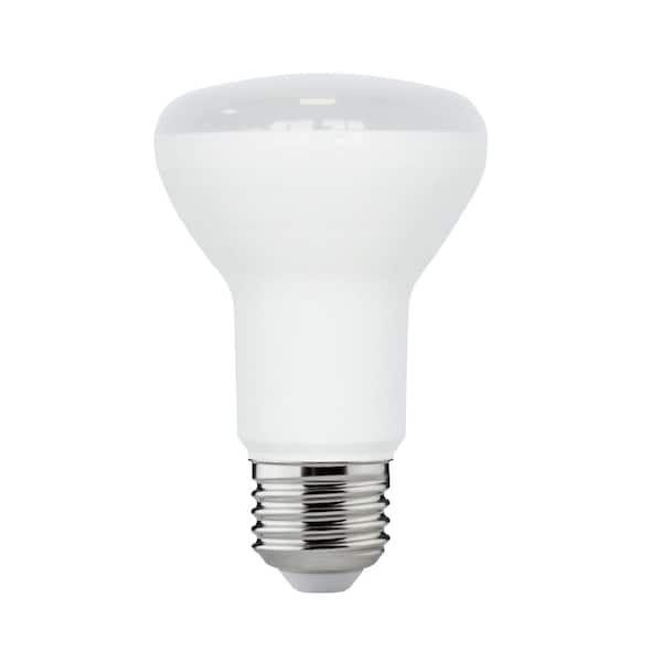 EcoSmart 75-Watt Equivalent R20 Dimmable ENERGY STAR LED Light Bulb Soft White (3-Pack)
