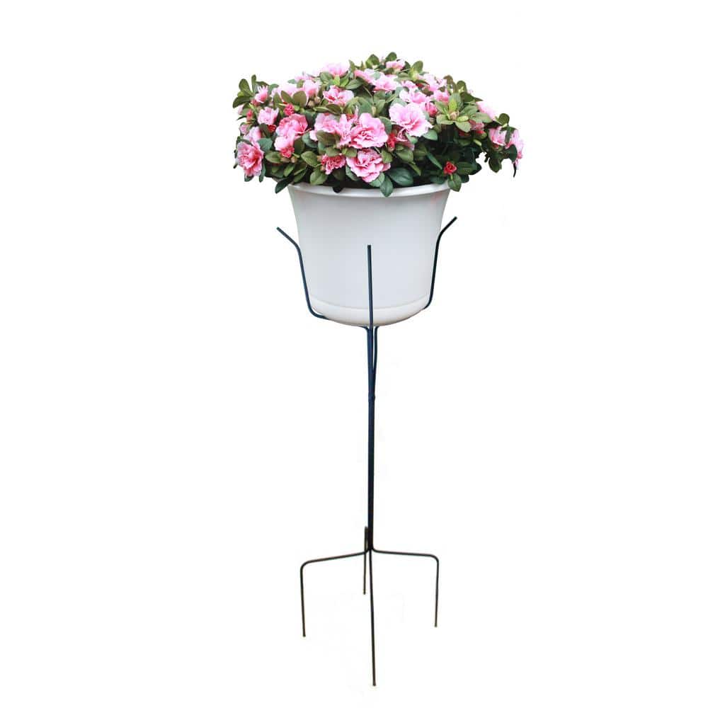 Black Metal Novelty Plant Stand Set of 2
