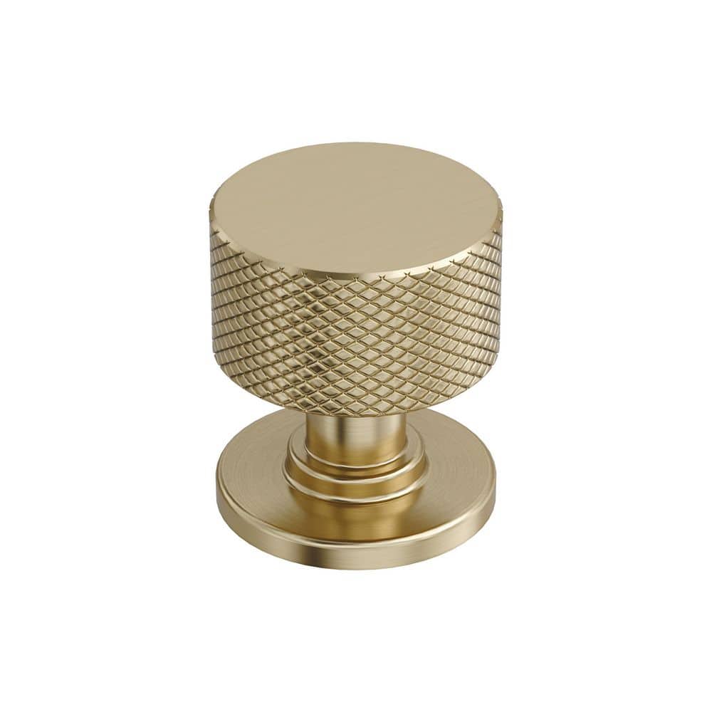 Balata 1-1/8 in. (29mm) Diameter Golden Champagne Classic Round Cabinet Knob price history on PriceWatchPro