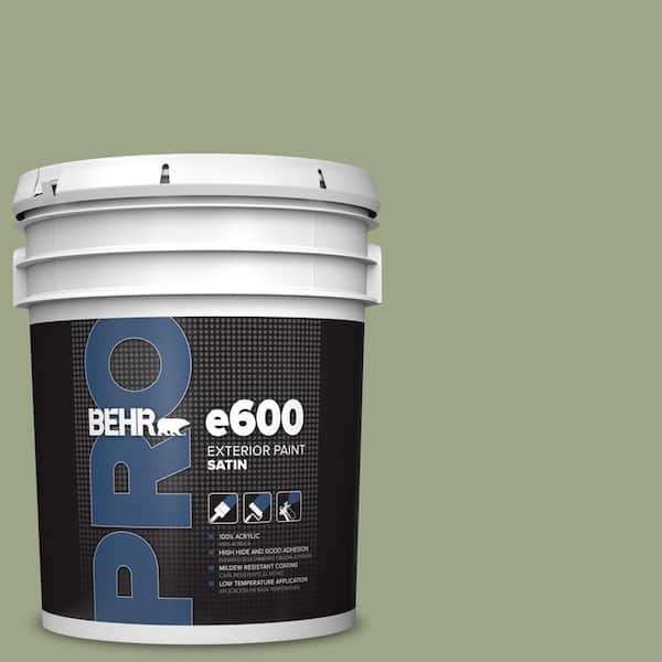 5 gal. #PPU11-07 Clary Sage Satin Exterior Paint