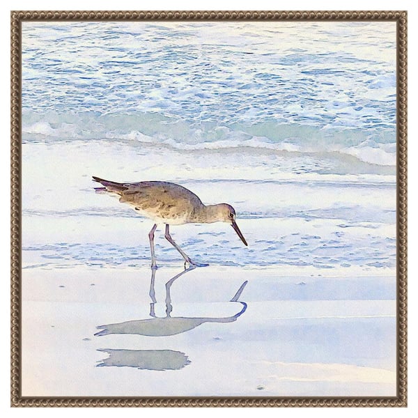 Amanti Art Sandpiper Dreams II by Christine Zalewski 22 in. W x 22 in. H. Canvas Wall Art Print Framed in Bronze
