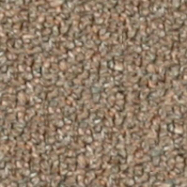 Beaulieu Carpet Sample - Bottom Line 20 - In Color Country Tweed 8 in. x 8 in.