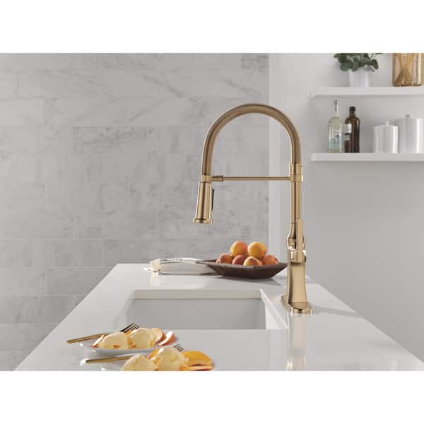 Delta Ermelo Pro Gold Single Handle Pull Down Sprayer Kitchen