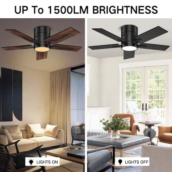 BICIK 42 in. Integrated LED Indoor/Covered Outdoor Black