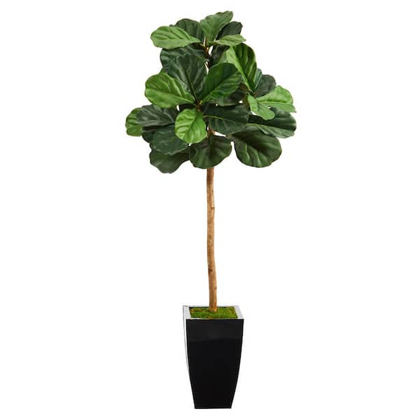 Nearly Natural 50in. Fiddle Leaf Artificial Tree in Black Metal Planter