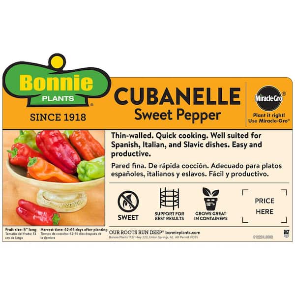 19 oz. Cubanelle Pepper Plant