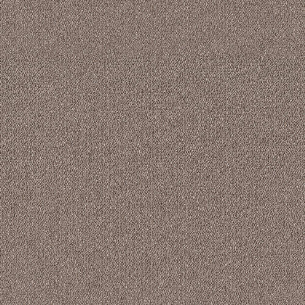 8 in x 8 in.  Loop Carpet Sample - Tower Road - Color Fence Post price history on PriceWatchPro