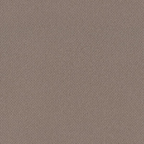 Home Decorators Collection 8 in x 8 in.  Loop Carpet Sample - Tower Road - Color Fence Post
