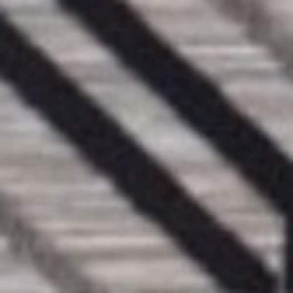 Black, Tan 5 ft. x 7 ft. Loomed Polypropylene Indoor/Outdoor Area Rug