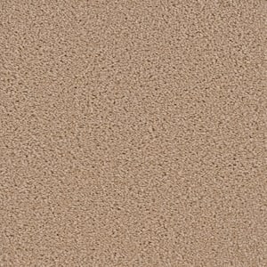 Added Value - Dignity - Beige 24 oz. SD Polyester Texture Installed Carpet