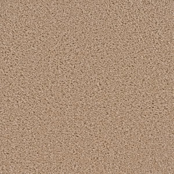 TrafficMaster Added Value - Dignity - Beige 24 oz. SD Polyester Texture Installed Carpet