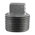 2 in. Galvanized Iron Plug