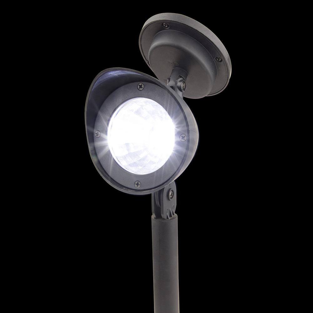 Black Solar Powered LED Pathway Light Set of 6