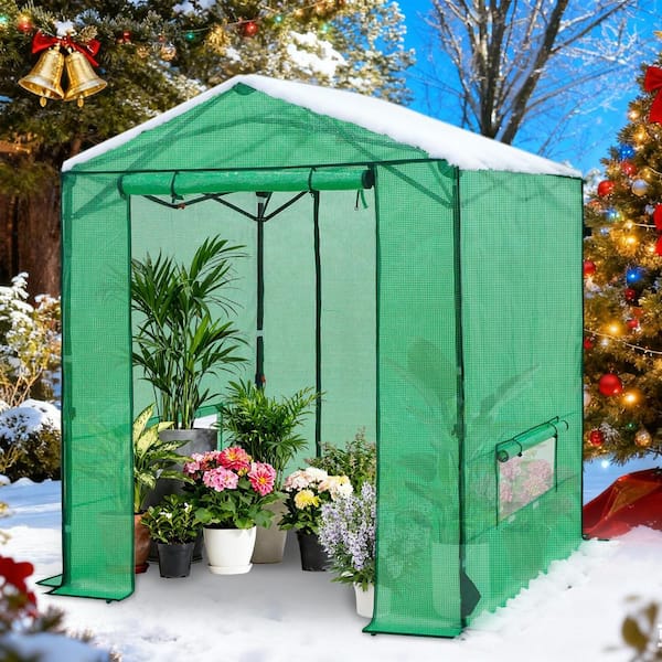 6 ft. x 6 ft. Pop-Up Walk-In Gardening Portable Greenhouse Canopy, with Zipper Doors and Mesh Windows, Greenhouse