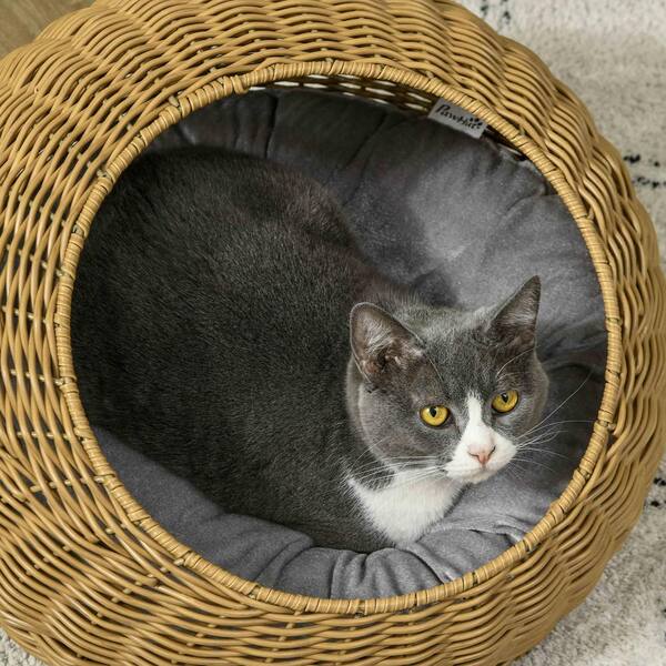thumbnail image 2 of PawHut Wicker Cat Bed With Cushion - Elevated Rattan Pet Bed For Indoor Cats, Light Brown 2 of 9