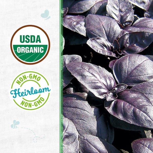 Organic Red Rubin Basil Seed (1-Pack)