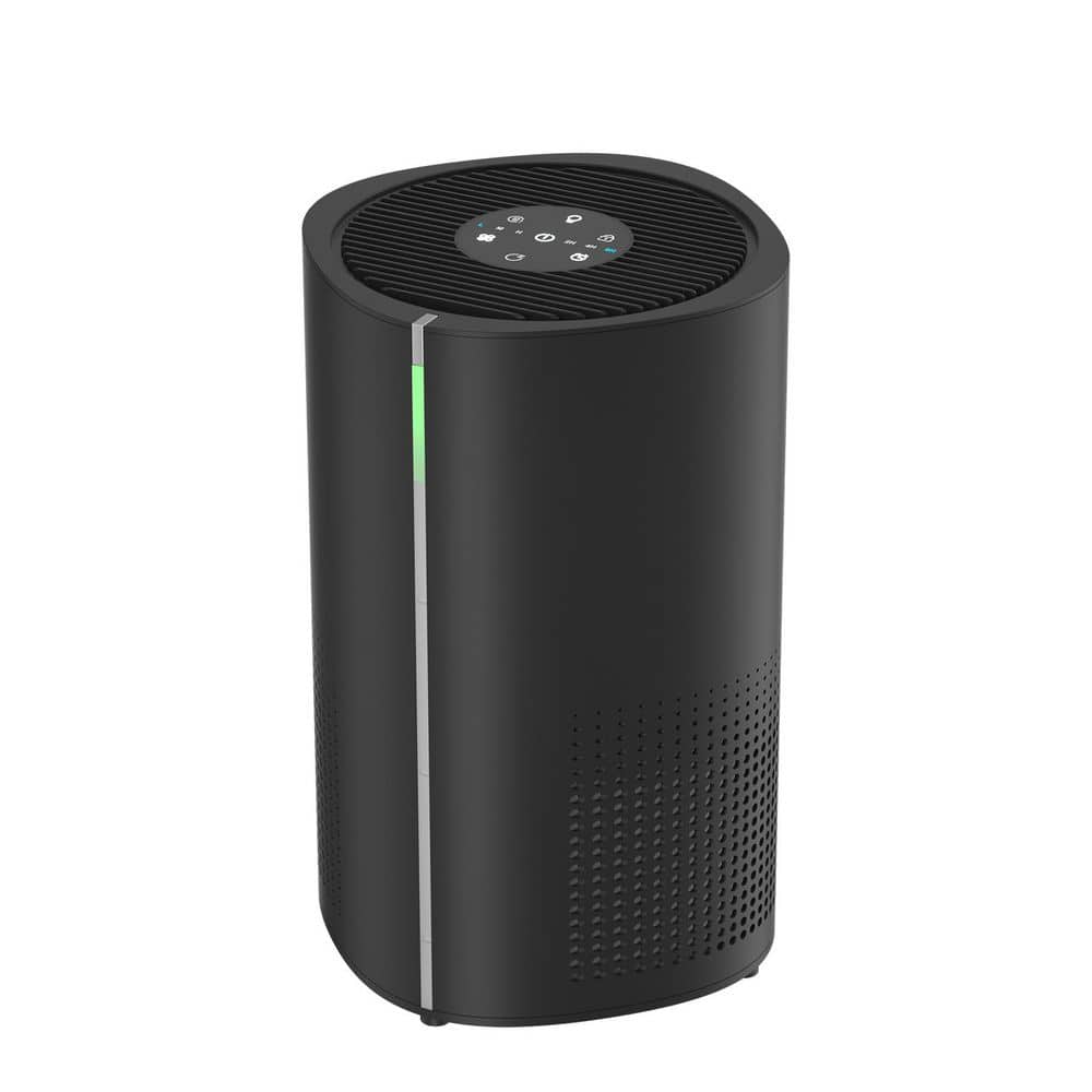 258 sq. ft. 3-Speed HEPA-True Personal Room Air Purifier in Blacks, with Timer, PM2.5 Concentration Detection price history on PriceWatchPro