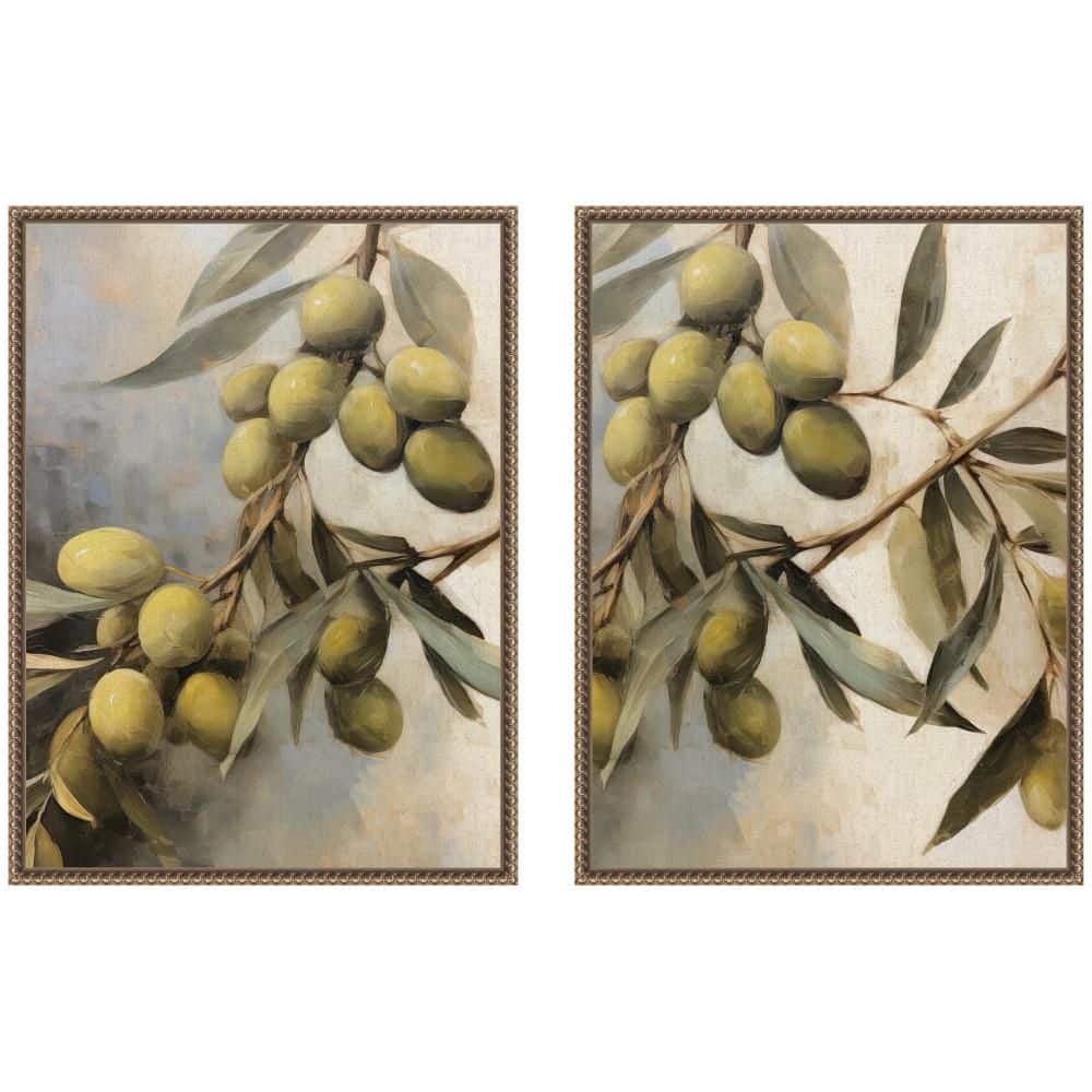 "2 Piece Sylvie ""Olive Tree Branch 1 and 2"" by The Creative Bunch Studio Trees Framed Art Print Set 24 in. x 18 in." price history on PriceWatchPro
