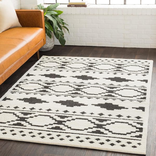 Sulaiman Black/White 8 ft. x 10 ft. Area Rug