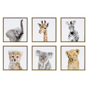 Sylvie "Animal Studio" by Amy Peterson Framed Animal Wall Art Print 13 in. x 13 in. (Set of 6)