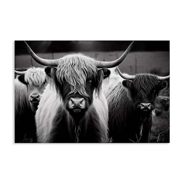Stupell Industries Black and White Highland Cows by Franklyn Gregory Unframed Animal Graphic Art Print 24 in. x 36 in.
