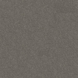 House Party II - Concrete Mix - Gray 51.5 oz. Polyester Texture Installed Carpet