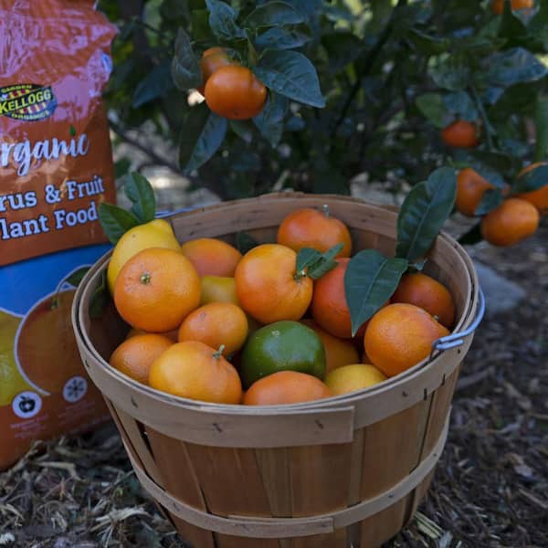 Kellogg Garden Organics 4.0 lbs. Organic Citrus and Fruit Plant