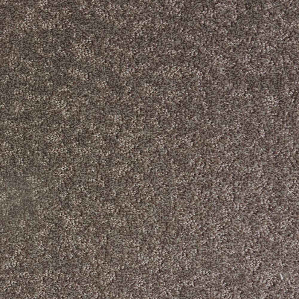 8 in. x 8 in. Pattern Carpet Sample-Warm Woven-Color Claystone price history on PriceWatchPro