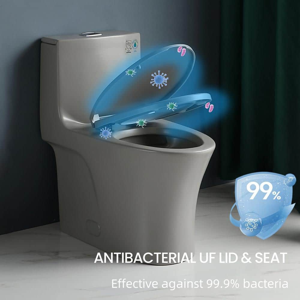 Light Gray Elongated Dual Flush One-Piece Toilet with Soft Closing Seat