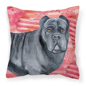 Caroline's Treasures 14 in. x 14 in. Multi-Color Outdoor Lumbar Throw  Pillow Giant Schnauzer Checkerboard Pink BB3673PW1414 - The Home Depot