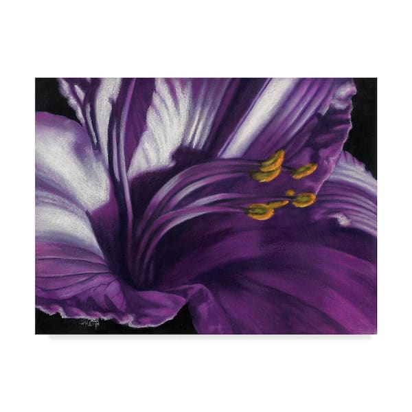 Trademark Fine Art Barbara Keith Amethyst Canvas Unframed Photography Wall Art 35 in. x 47 in