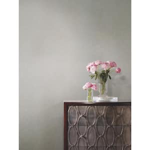 Silver Metallic Oasis Paper Unpasted Wallpaper, 27-in. by 27-ft.