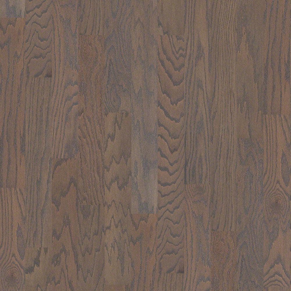 Take Home Sample - Bradford Oak Barnboard Oak Engineered Hardwood Flooring - 5 in. x 8 in. price history on PriceWatchPro