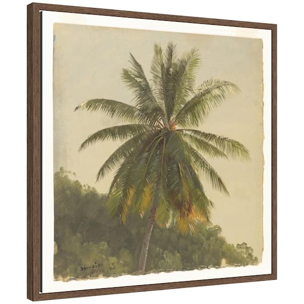 Sylvie "Coconut Palm Jamaica" by Frederic Church Tree Framed Canvas Art Print 22 in. x 22 in.