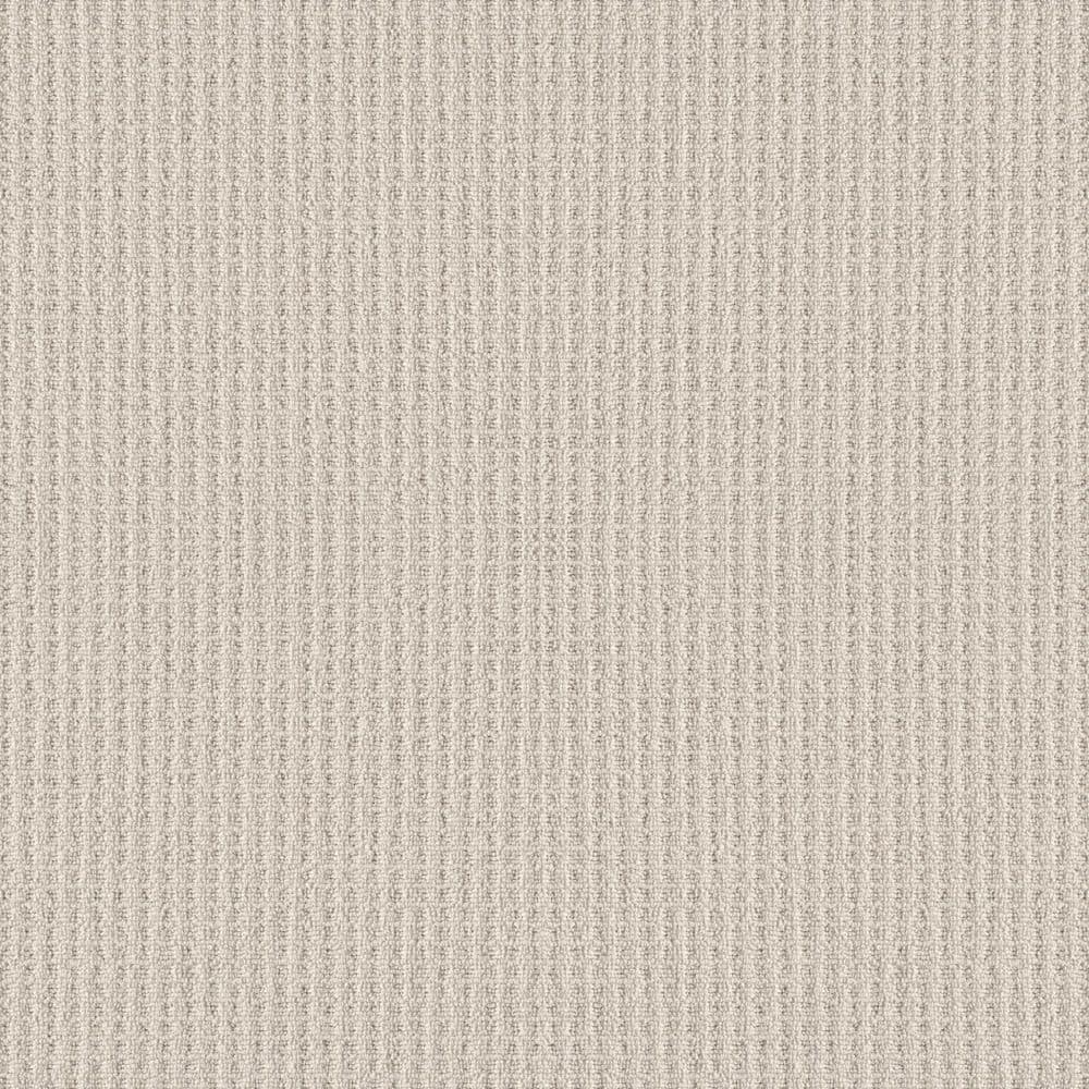 8 in. x 8 in. Loop Carpet Sample - Snug and Stylish - Color Tranquility price history on PriceWatchPro
